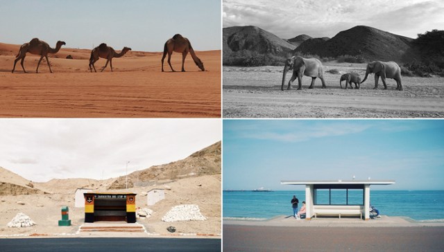 Celebrating World Photography Day Across the World Through Diptychs That Bring Us Together